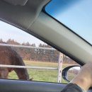 팜팜스테이 이미지