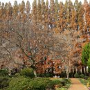 호남선 농장 이미지