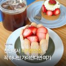 바바루 | 파피커피베이크, 포장, 주차 오백번 먹고싶은 딸기디저트