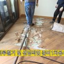 마루상사