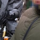 윌리독(wheeliedog) 이미지