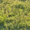 그루미술교습소 이미지