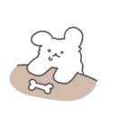 하나애견 이미지