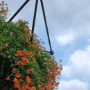 부천중앙공원 이미지