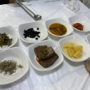 착한회집 | [묵호여행] 식객 허영만의 백반기행 출연, 가자미회 착한가격 맛집 '동남회집' 내돈내산 후기