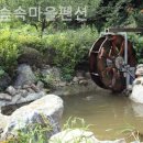 달빛숲속마을 | 관인면펜션 달빛숲속마을펜션 창밖풍경이그림같아!