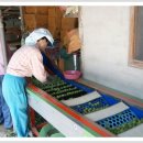 상평마을 이미지