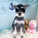 털찐친구들 이미지