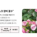 여우뷰티몰 이미지