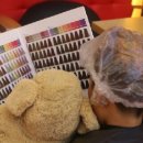 강아지 공화국 이미지