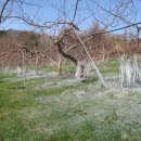 하늘농장 이미지