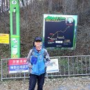 부산23산우회 오르고함양/감투산.대봉산.도숭산 이미지