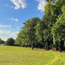 나무의원 이미지