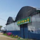 종숙농장 네이버블로그
