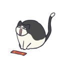 카페포렛 이미지