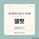 SelFit(셀핏) | 광주광역시 광산구 연산동 셀핏 with 애플사이다비니거 1박스와 애플사이다비니거 플러스 1박스