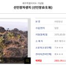 리벤시아 스테이 이미지