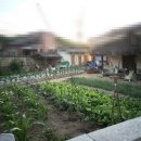 예강1길-1 이미지