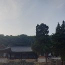 피노키오과자점