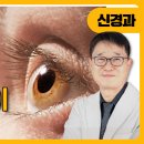 이동국신경과