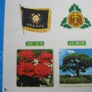 웅촌초등학교 이미지