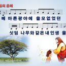 싯딤의 은혜 / 메마른 광야에 쓸모 없었던 [신성기 싱글 1집] 이미지