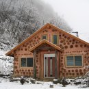 평창들꽃 이미지