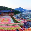 삼광사 이미지