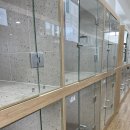 도그베이 동탄호수공원점 이미지