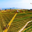 청소년수련관 야외화장실 이미지