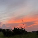 애월정의원 이미지