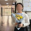 이쁘냥 고양이 미용실 익산점 | 언제부터였죠? 겁나게 바빴던 게(2)