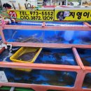 지영이네활어