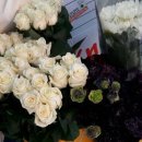 양재시장 이미지