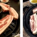 엉터리생고기 이미지