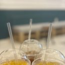 원스파인 이미지