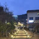 강아지 그리다 | 용인 대형카페 정그리다 후기｜리조트 감성의 애견동반 캠핑 바비큐 카페