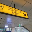 JEJE NAIL(제제네일)