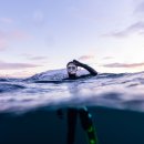 오로라캠프 | 범고래와 프리다이빙하러 북극 다녀오다..! + 오로라 헌팅 배긴 작가 2025년 투어 후기