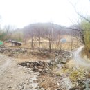 행복나무민박 이미지