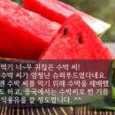 수박씨 이미지
