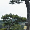 읍사무소(실내) 이미지