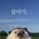 형곡로-7 이미지