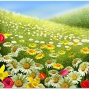 국립생태원동물병원 이미지