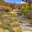 무릉도원면-1 이미지