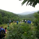 정렴선생묘 이미지