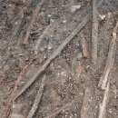 구)웅천초등학교 이미지