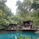 테이블39 | 치앙마이 No.39 카페 애견동반 후기