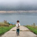 봉생상회