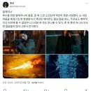 시원시원한 액션 영화 발레리나 후기(펌) 이미지